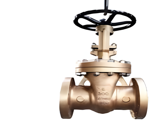 BRONZE GATE VALVE